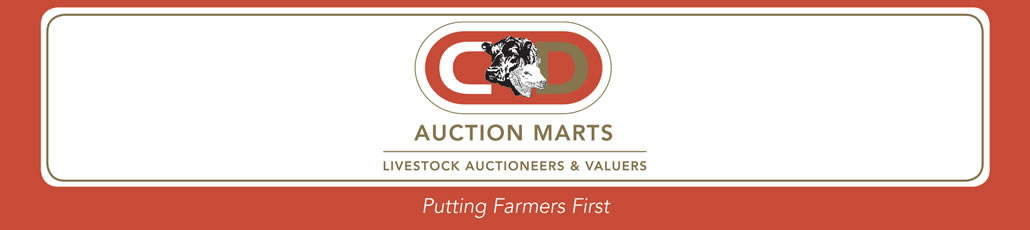 Dumfries Auction Mart