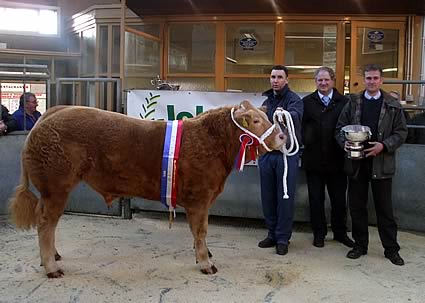 Christmas Topper Rude Boy R to L James Forsyth, Mid Bishopton, Judge R Kirkhope, Sponsor Robin Vevers Frank Johnston (Tractors) Ltd Champion Home Bred 15mo Charolais Bullock ‘Rude Boy’  (580Kg) at 340p or &pound;1972.00 sold to Fraser Butchers Stranraer