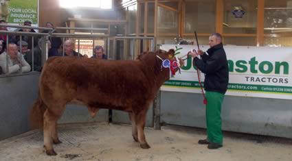 Reserve Champion won by J & L Craik, Waterside with Limousin x Bullock (605Kg) selling at 310p or &pound;1875.50 to M/S Ballard Butchers Castle Douglas