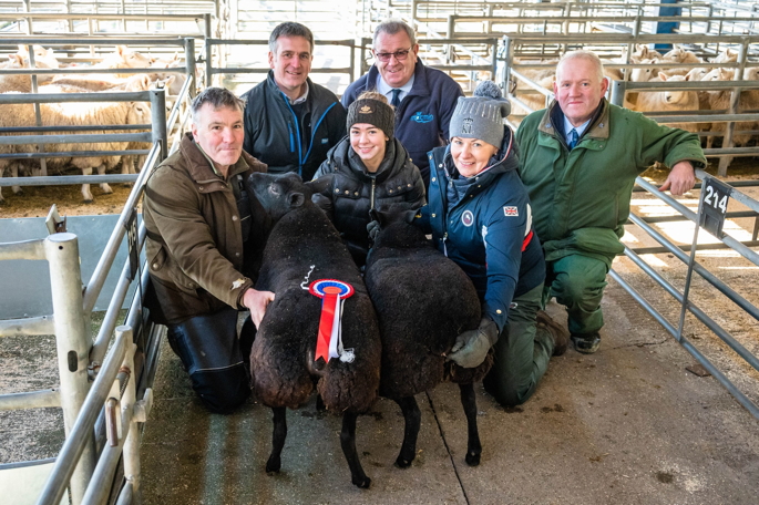 Champion pair of lambs shown by Poppy Graham