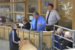 Store Cattle ring