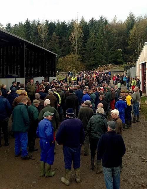 A huge crowd attends Merkland Farm sale