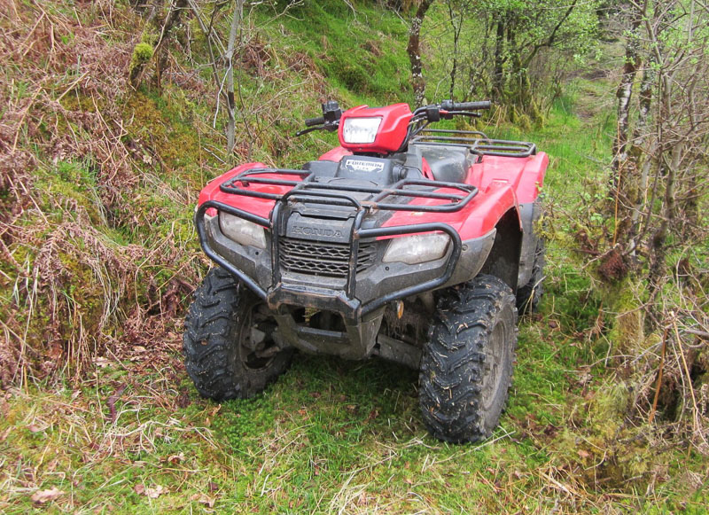 Longtown Mart C & D Auction Marts Limited