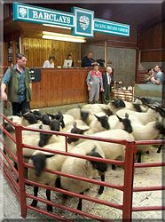 Longtown Auction Mart