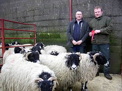 Swaledale Show