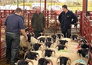 Longtown Mart