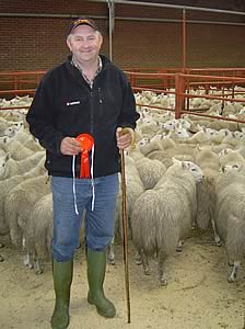 1st prize pen of Hill Cheviots from Langholm Farms, Cooms sold at £33.
