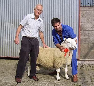 champion ram from Messrs Smith, Whiteknowe