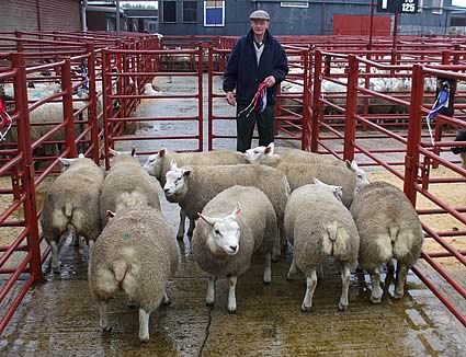Champion pen of lambs shown by owner Ivie McIlwraith, Mouldy Hills.