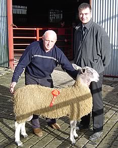 Reserve Champion Leicester Ram