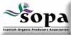 sopa